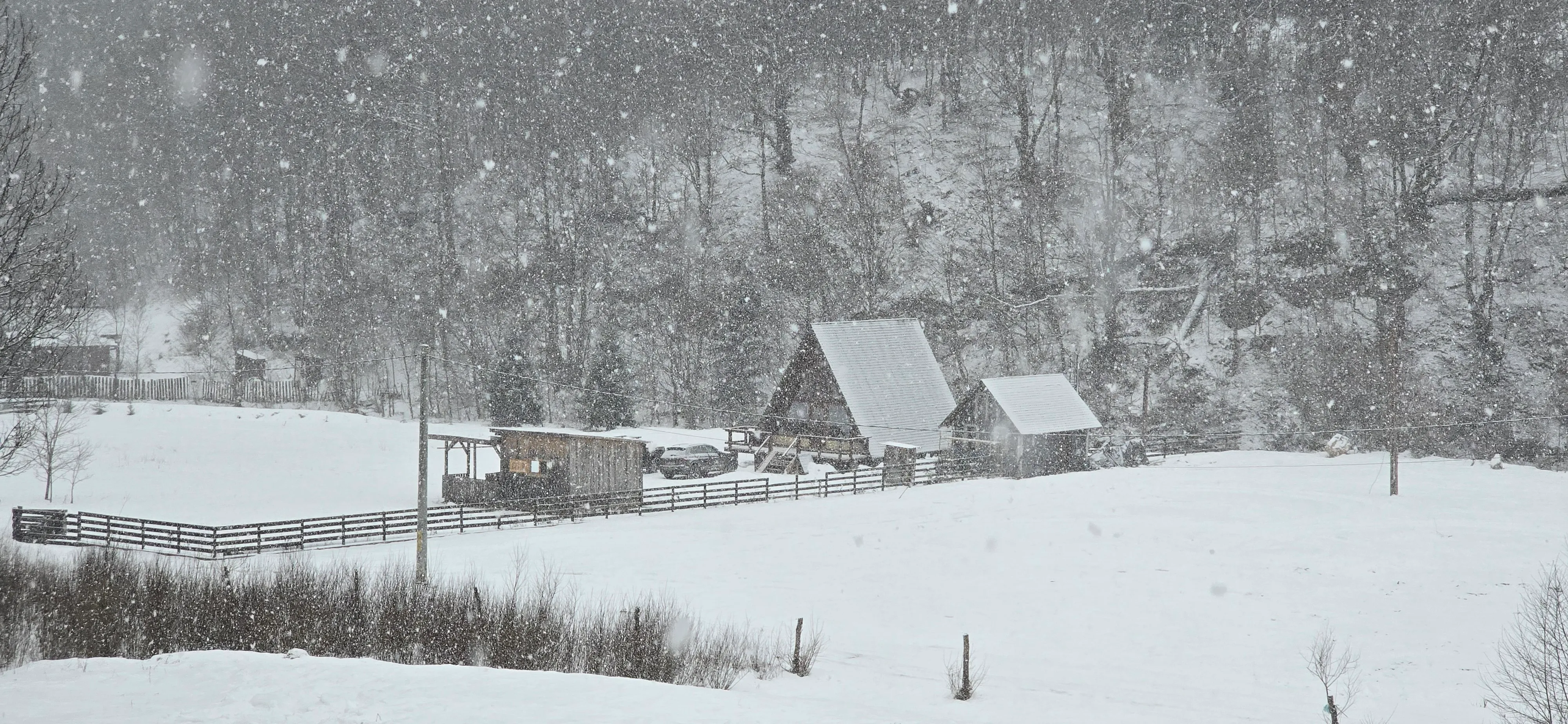 Die Hütte bei winterlichem Schneefall