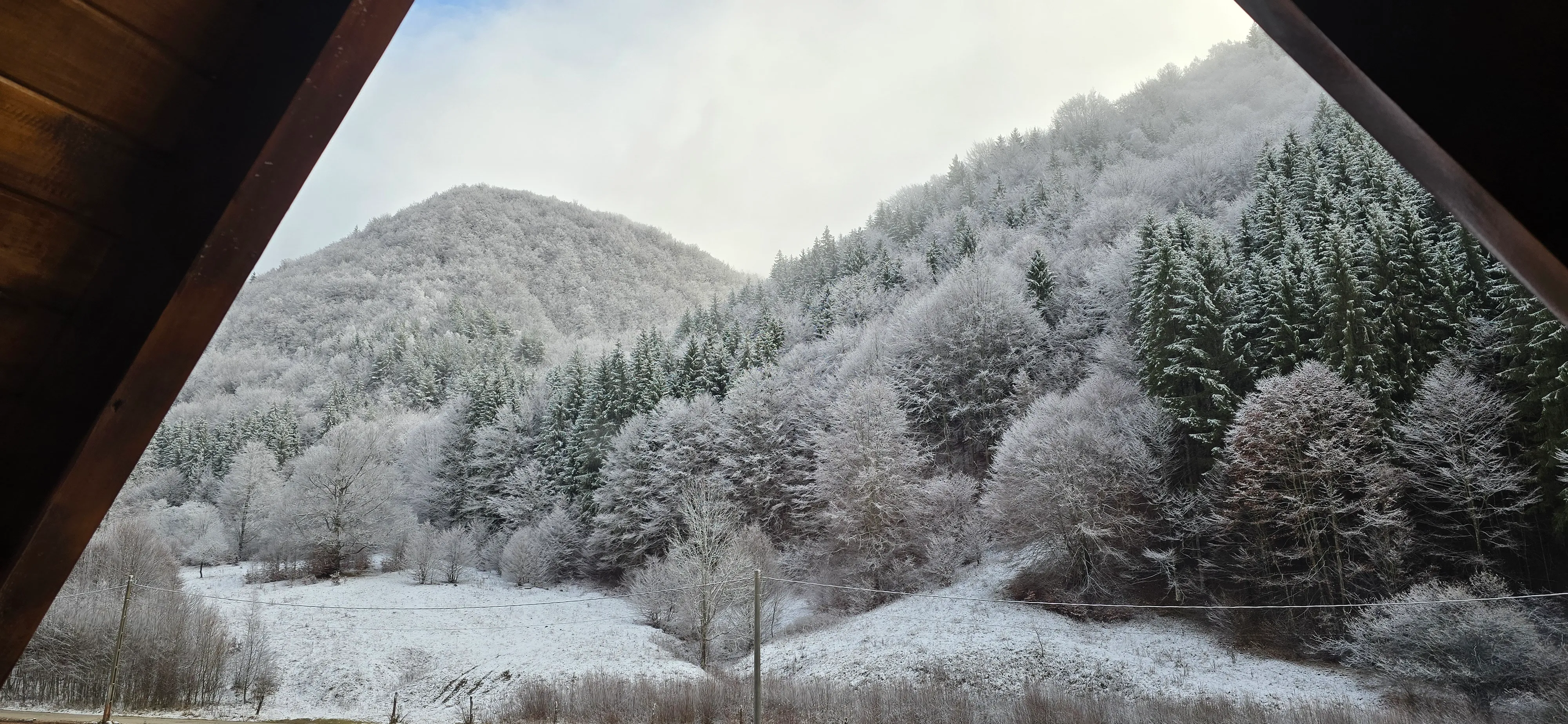 Blick aus dem Hüttenfenster auf den raureifbedeckten Wald